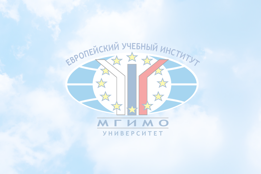 Заседание Руководящего совета Европейского учебного института